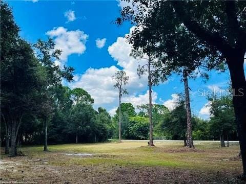 2530 N Mohawk Dr W, Avon Park FL, 33825 land for sale