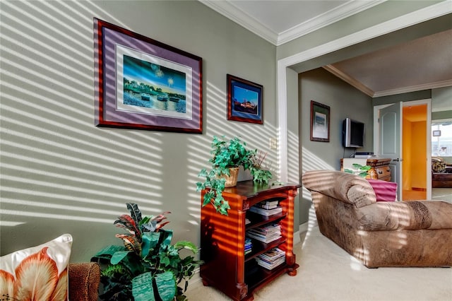 living area with ornamental molding