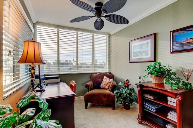 home office with baseboards, a ceiling fan, crown molding, and carpet flooring