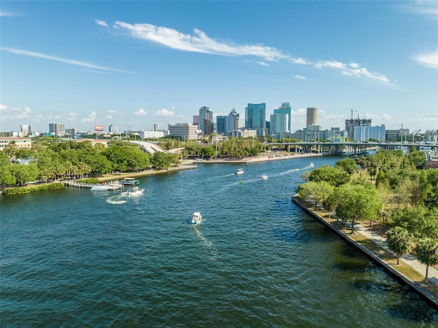 view of water feature featuring a city view