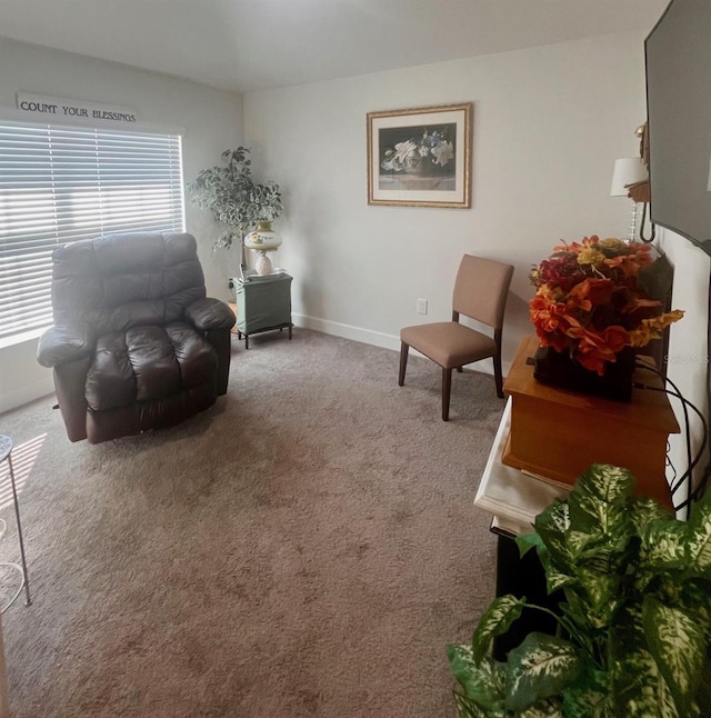 living area with carpet flooring and baseboards