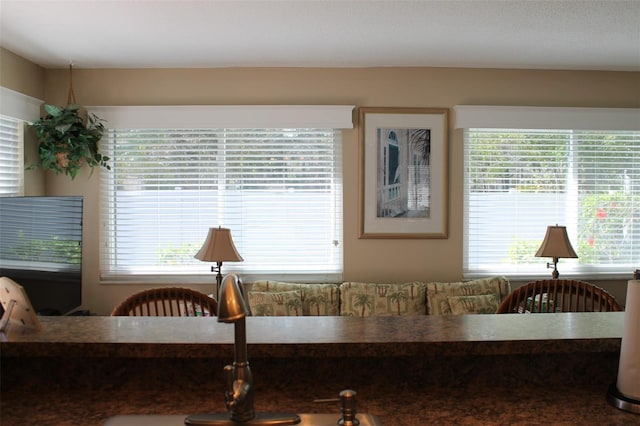 dining room featuring a wealth of natural light