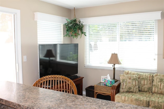 dining room with a wealth of natural light