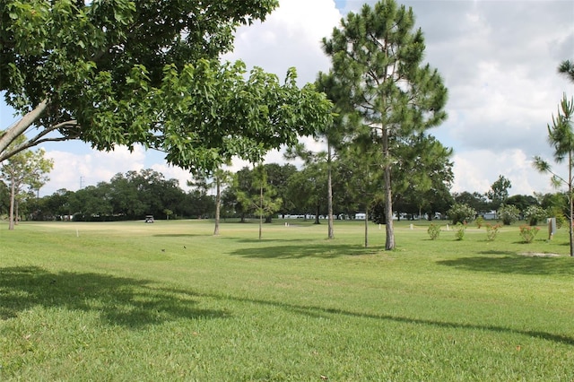 view of property's community with a yard