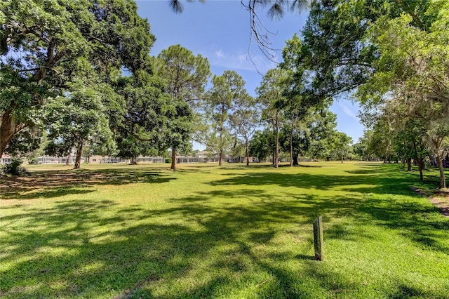 view of property's community featuring a yard