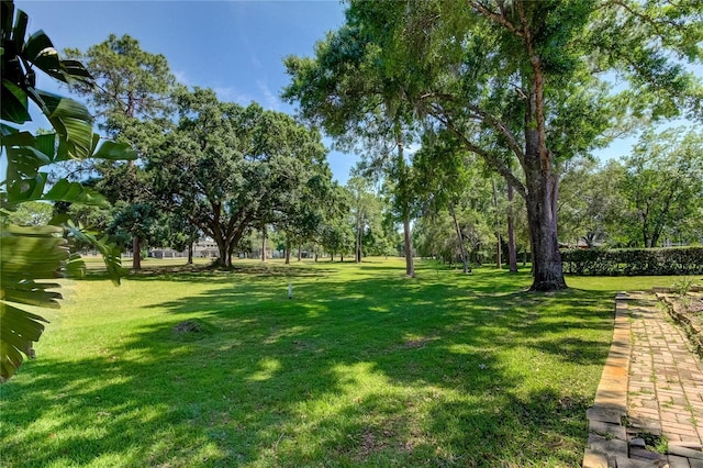 view of yard