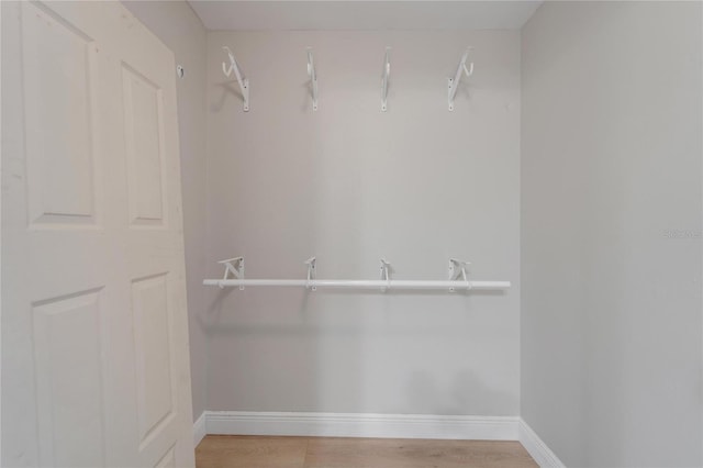 walk in closet featuring wood finished floors