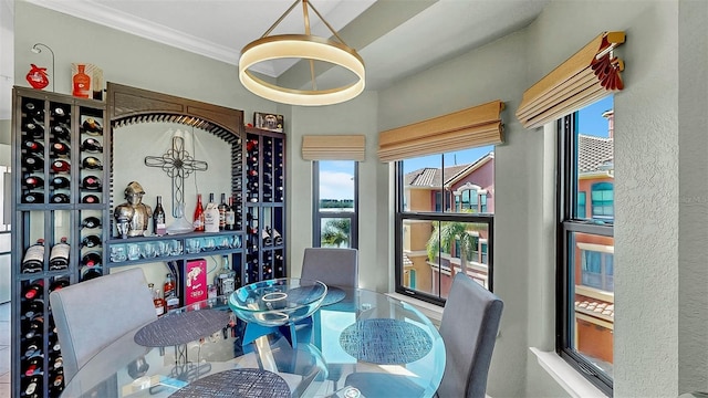 wine area featuring ornamental molding and a wealth of natural light