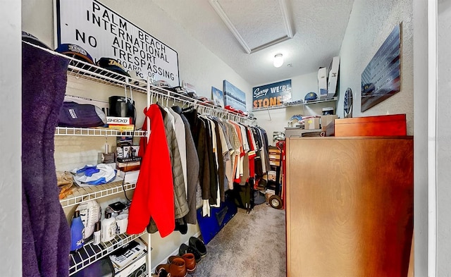 spacious closet featuring attic access