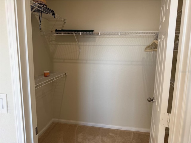 walk in closet featuring carpet floors