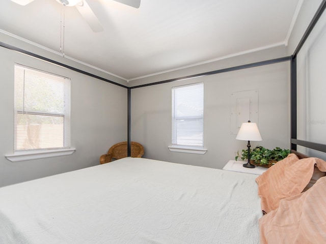 bedroom with multiple windows, ornamental molding, and a ceiling fan