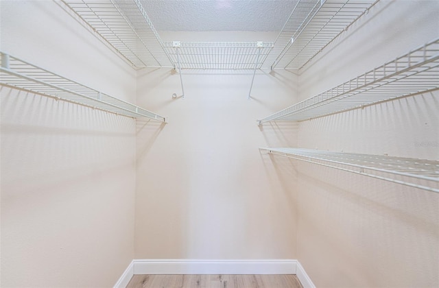 walk in closet with wood finished floors