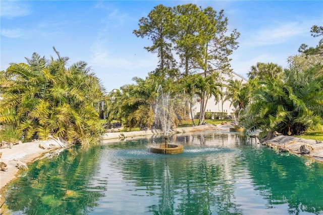 view of water feature