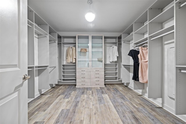 spacious closet with wood finished floors