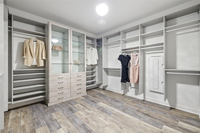 spacious closet featuring wood finished floors