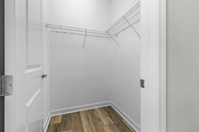 spacious closet featuring wood finished floors