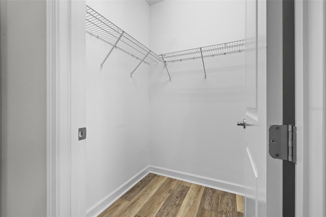 spacious closet featuring wood finished floors