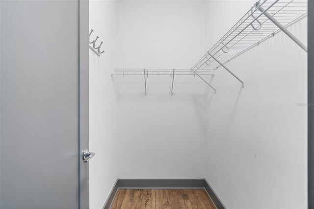 1110 25th St N, Saint Petersburg, FL 33713 - walk in closet featuring wood finished floors
