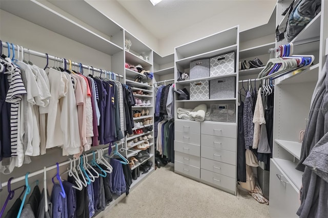 view of walk in closet