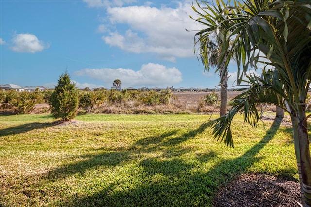 view of yard with a rural view