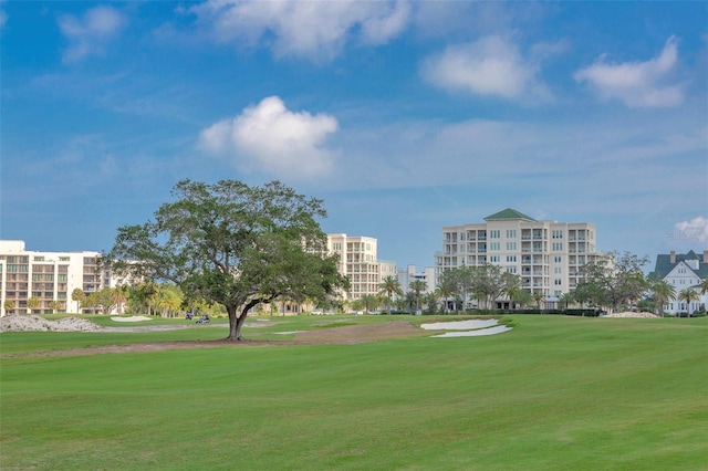 view of community with a yard