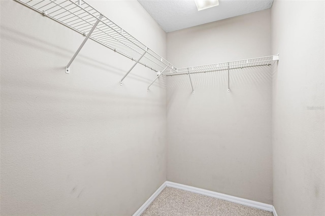 spacious closet with carpet flooring