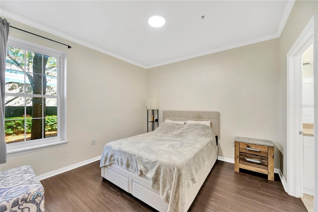 bedroom featuring dark wood-type flooring, multiple windows, and baseboards