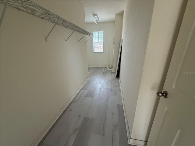 spacious closet featuring wood finished floors