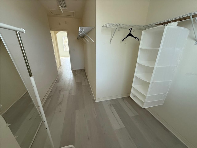 walk in closet featuring light wood-style flooring