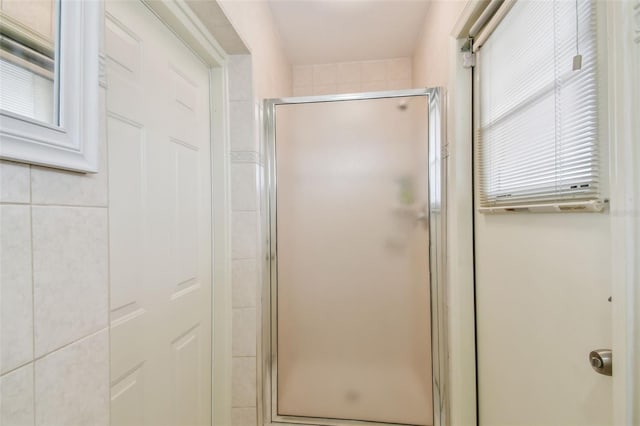 bathroom with a shower stall