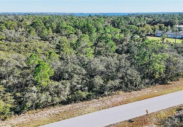 919 Wildflower St, Lake Placid, FL 33852 - photo 4
