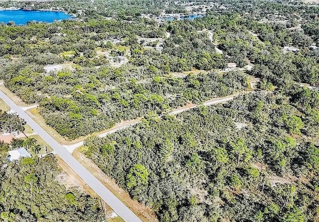 919 Wildflower St, Lake Placid, FL 33852 - photo 5