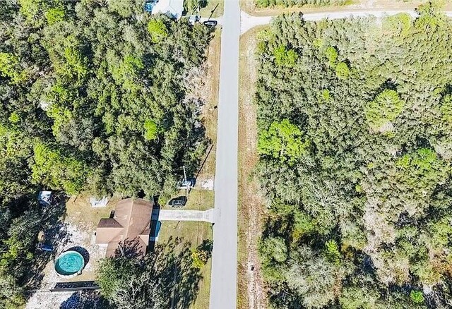 919 Wildflower St, Lake Placid, FL 33852 - photo 6