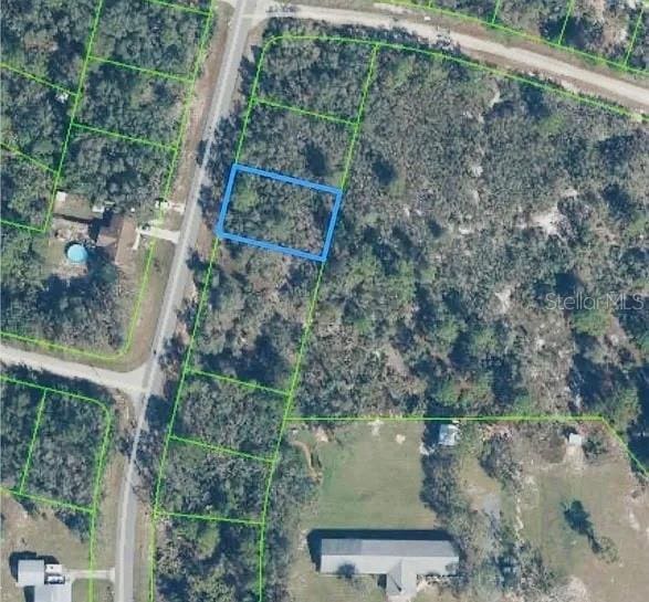 919 Wildflower St, Lake Placid, FL 33852 - photo 8