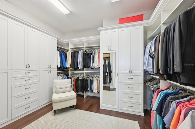 spacious closet with dark wood-type flooring