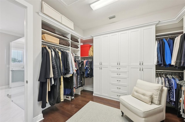 spacious closet with visible vents and dark wood finished floors