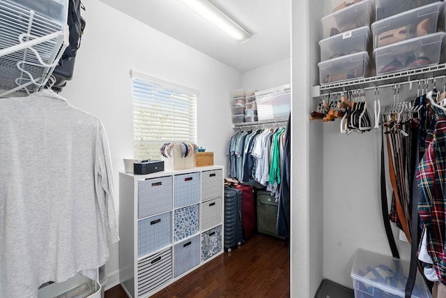 6157 Castleton Hollow Rd, Riverview, FL 33578 - spacious closet with wood finished floors