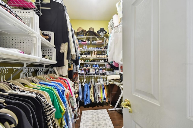 walk in closet featuring wood finished floors