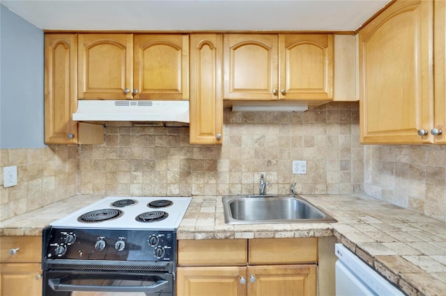 kitchen featuring white dishwasher, under cabinet range hood, a sink, black electric range, and tasteful backsplash