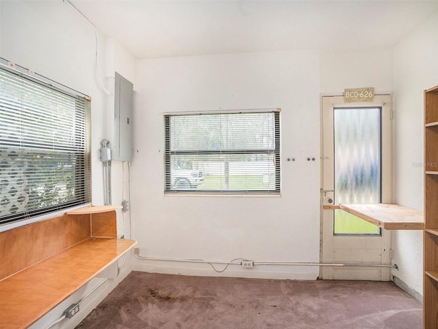 interior space featuring carpet floors, electric panel, and a wealth of natural light