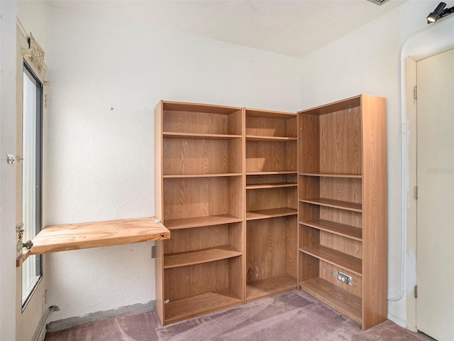 interior space with carpet flooring and a textured wall