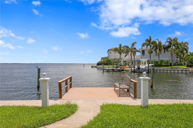 dock area with a water view