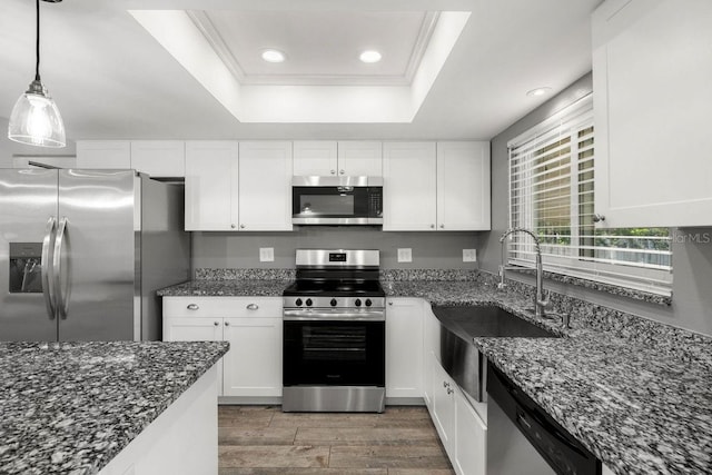 kitchen with stainless steel appliances, a sink, white cabinets, a tray ceiling, and pendant lighting