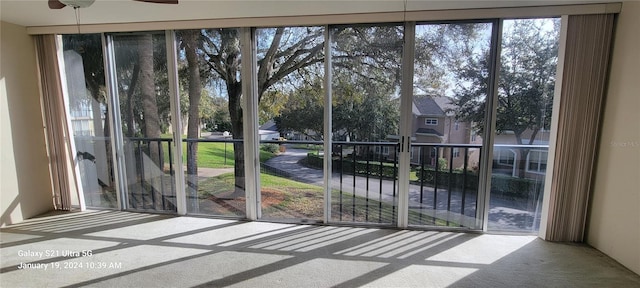 doorway featuring carpet floors