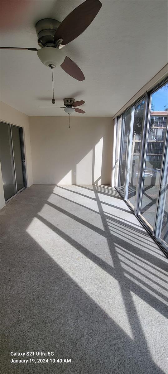 spare room featuring floor to ceiling windows, carpet, and a healthy amount of sunlight