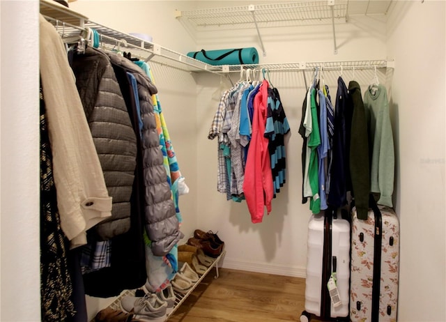 walk in closet featuring wood finished floors