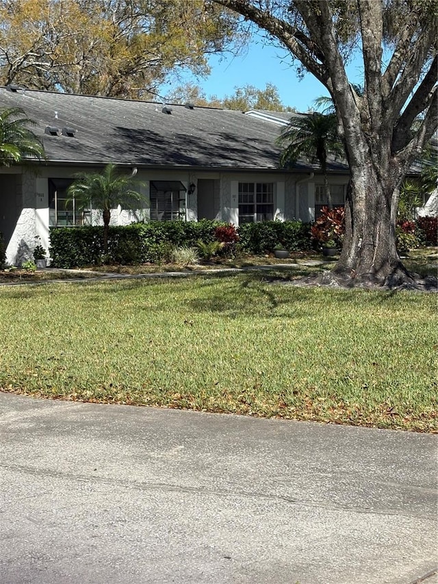 view of front of house with a shingled roof and a front yard