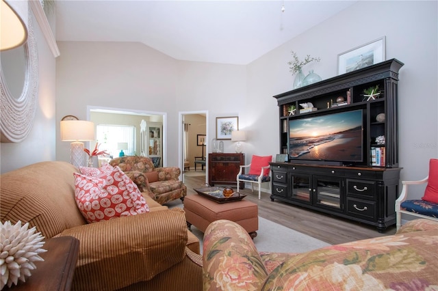 living room featuring wood finished floors and vaulted ceiling