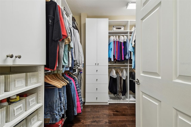 walk in closet featuring dark wood-style floors