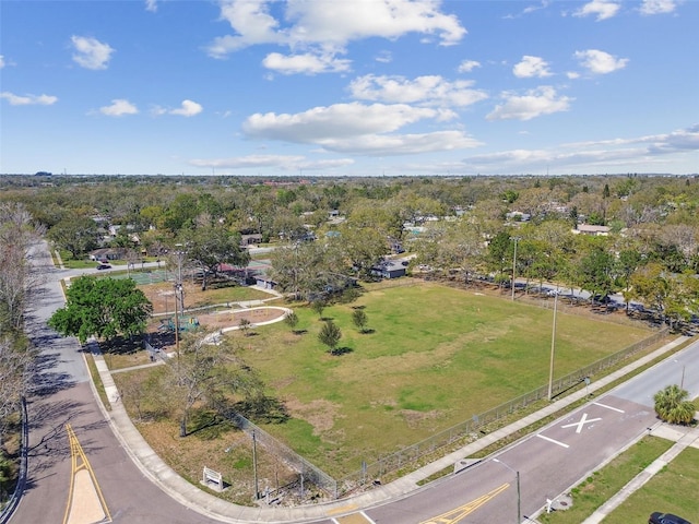 bird's eye view